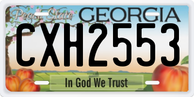 GA license plate CXH2553