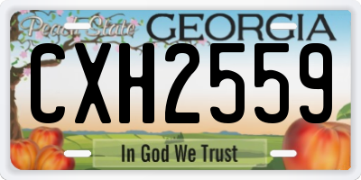 GA license plate CXH2559