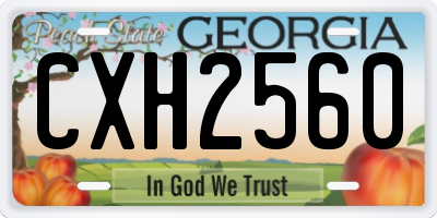 GA license plate CXH2560