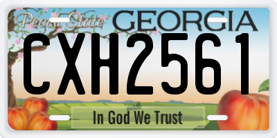 GA license plate CXH2561