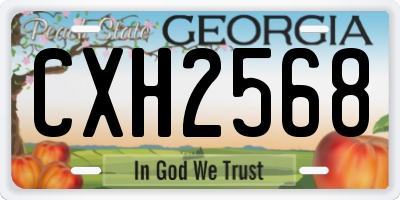 GA license plate CXH2568