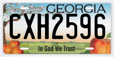 GA license plate CXH2596