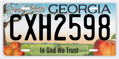 GA license plate CXH2598