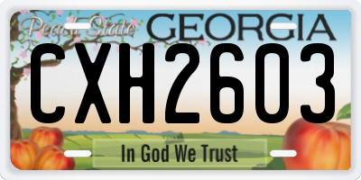 GA license plate CXH2603