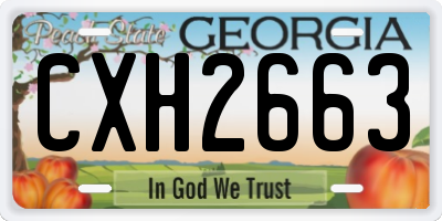 GA license plate CXH2663