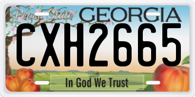 GA license plate CXH2665