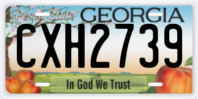 GA license plate CXH2739