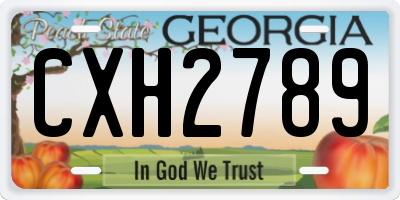 GA license plate CXH2789