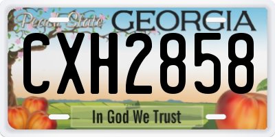 GA license plate CXH2858