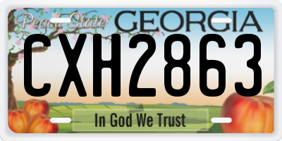 GA license plate CXH2863