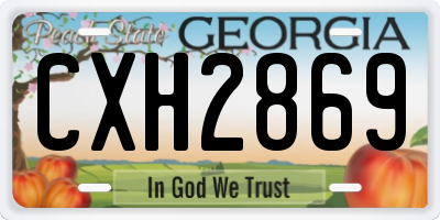 GA license plate CXH2869