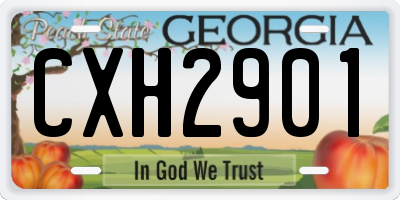 GA license plate CXH2901