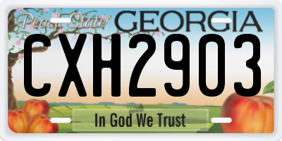 GA license plate CXH2903