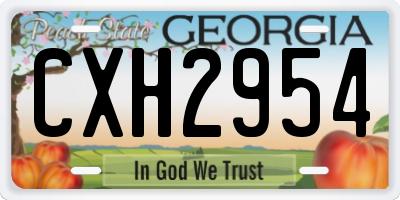 GA license plate CXH2954