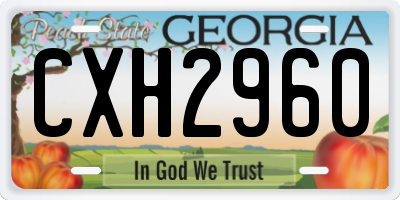 GA license plate CXH2960