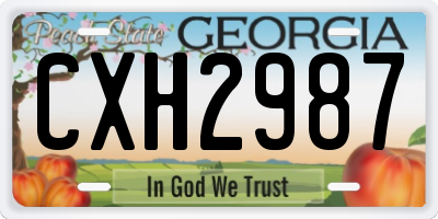 GA license plate CXH2987