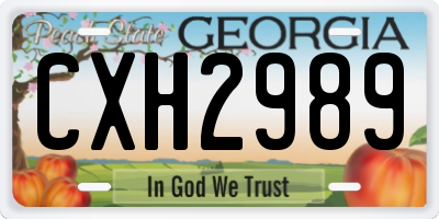 GA license plate CXH2989