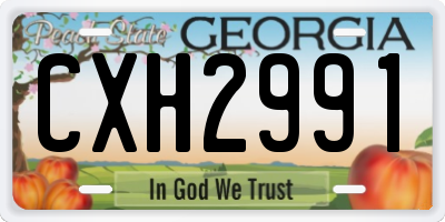 GA license plate CXH2991