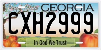 GA license plate CXH2999