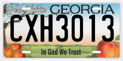 GA license plate CXH3013
