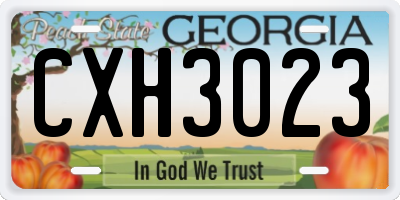 GA license plate CXH3023