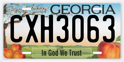 GA license plate CXH3063