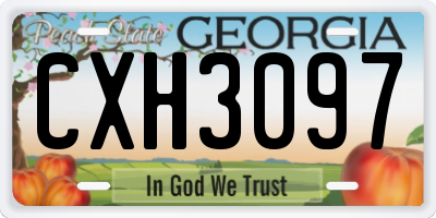 GA license plate CXH3097