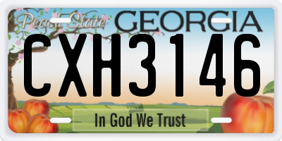 GA license plate CXH3146