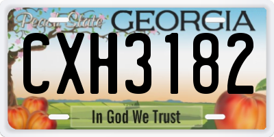 GA license plate CXH3182