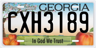GA license plate CXH3189
