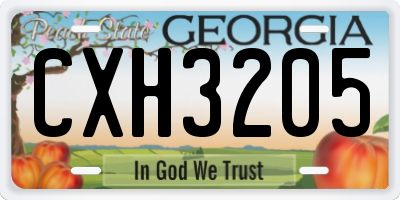 GA license plate CXH3205