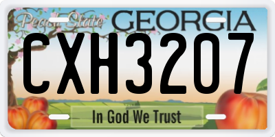 GA license plate CXH3207