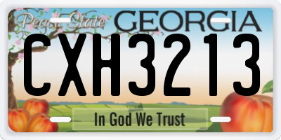 GA license plate CXH3213