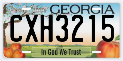 GA license plate CXH3215