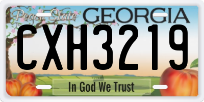 GA license plate CXH3219