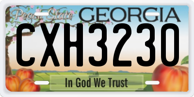 GA license plate CXH3230