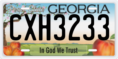 GA license plate CXH3233