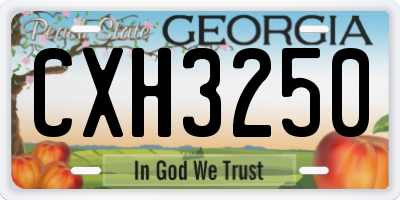 GA license plate CXH3250