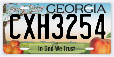 GA license plate CXH3254