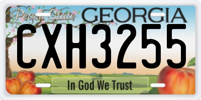GA license plate CXH3255