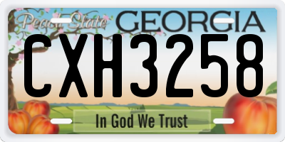 GA license plate CXH3258