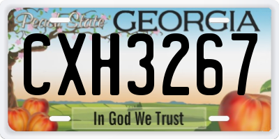 GA license plate CXH3267