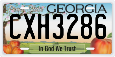 GA license plate CXH3286