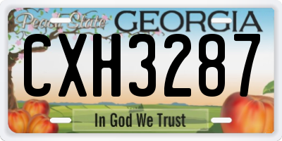 GA license plate CXH3287