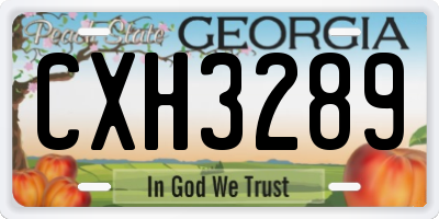 GA license plate CXH3289