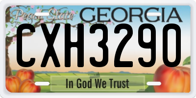 GA license plate CXH3290