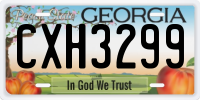 GA license plate CXH3299