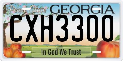 GA license plate CXH3300