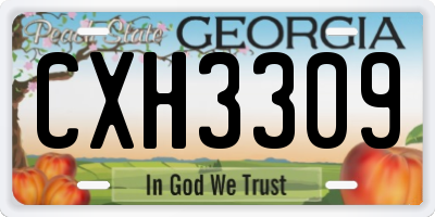 GA license plate CXH3309