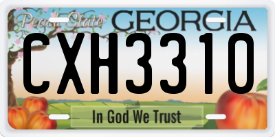 GA license plate CXH3310